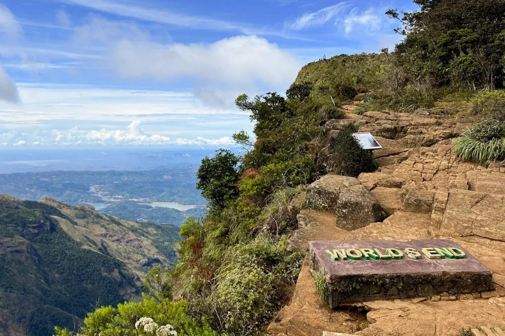 worlds end horton plains national park sri lanka Iconic African Lion