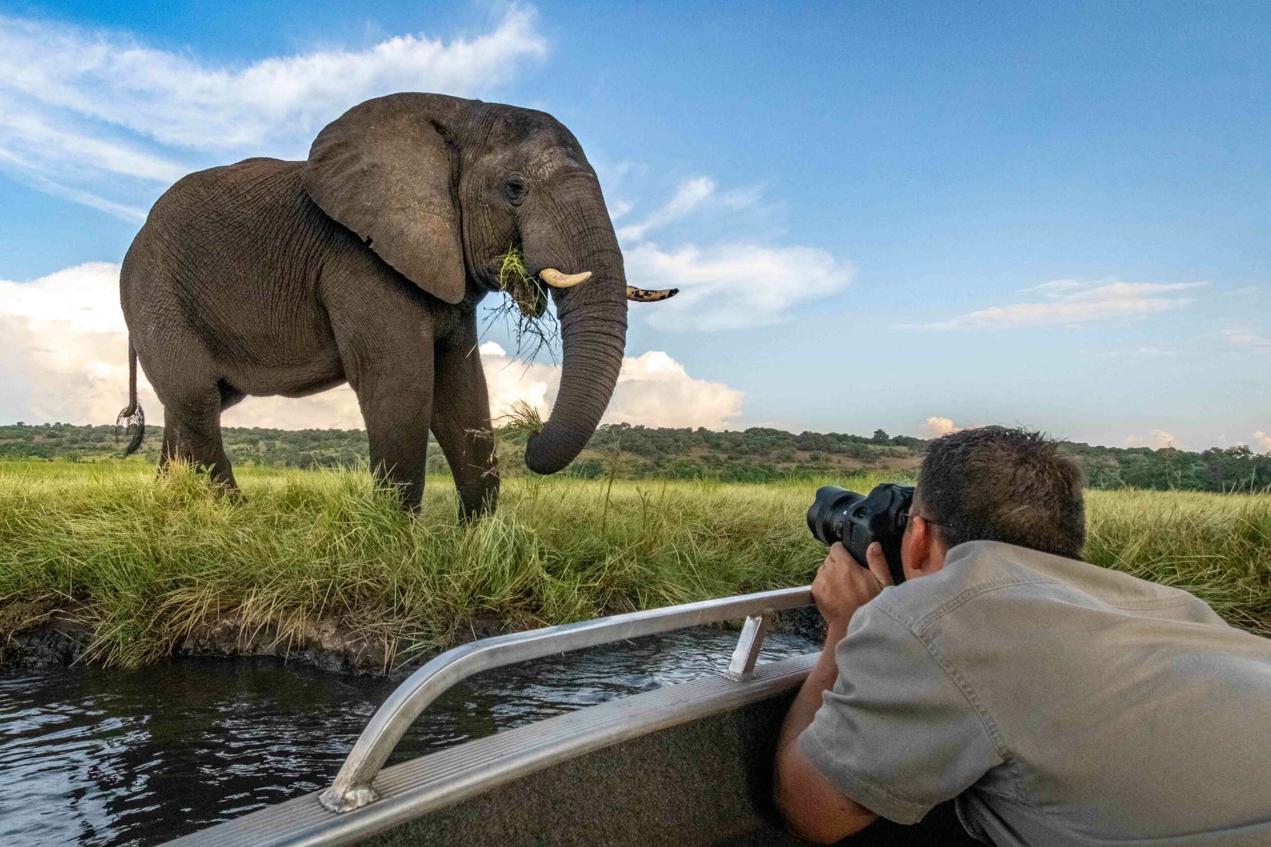 wide angle photographing of an elephant