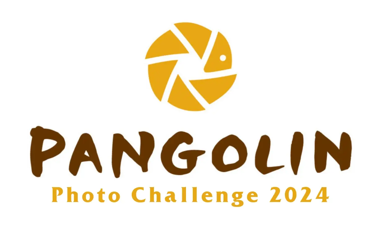 Pangolin Photo Challenge 2024 logo