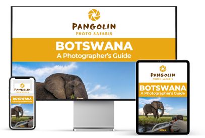 botswana 2024 e book multi device 