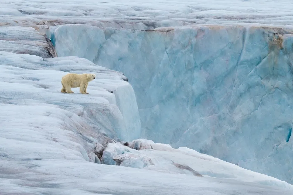 polar outpost by ross bartholomew pangolin photo challenge