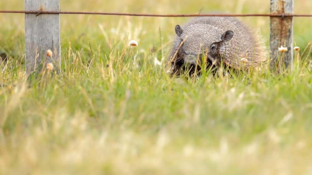 patagonia recce 1028 x 10001 patagonia recce 1028 x 10001