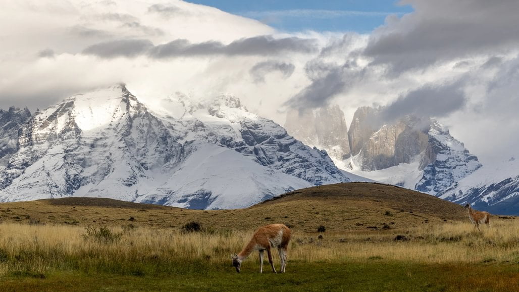 patagonia recce 1028 x 100011 patagonia recce 1028 x 100011