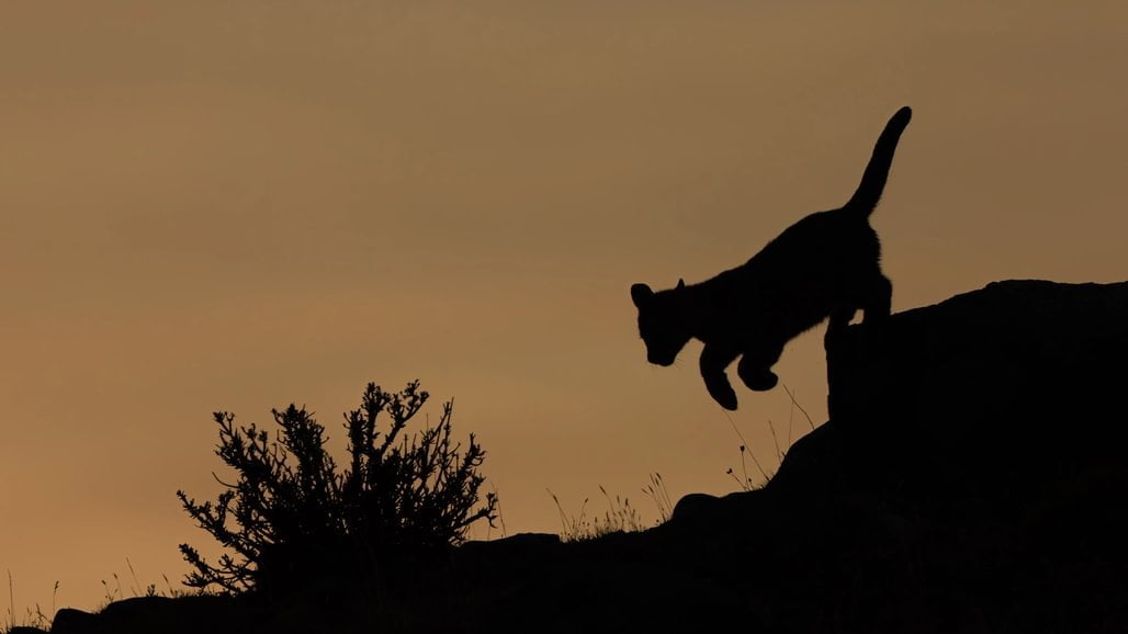 patagonia recce 1028 x 10004 patagonia recce 1028 x 10004