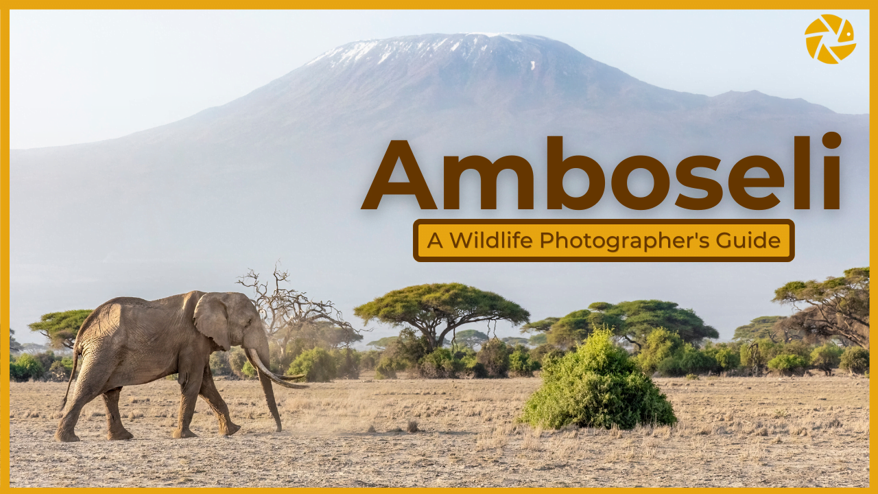 amboseli slider amboseli slider thumbnail