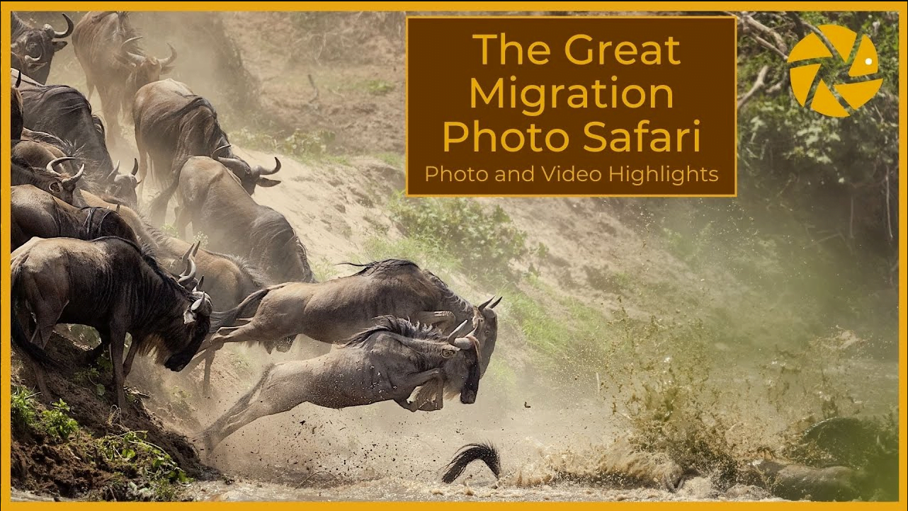 cleanshot 2024 06 07 at 14.36.06 great migration thumbnail