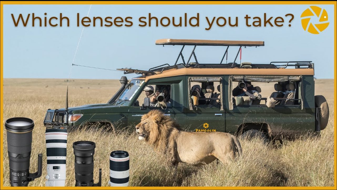 cleanshot 2024 06 07 at 14.50.45 Lens and camera choices for the great migration