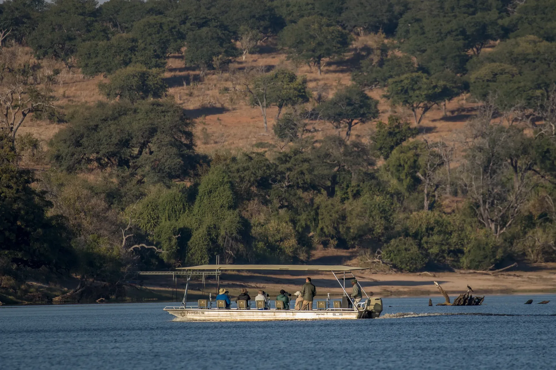 photo boat in the chobe photo boat in the chobe
