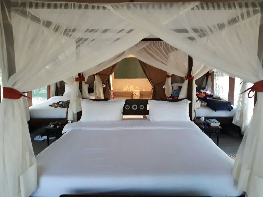 family tent slider 1920 mara bush camp tent