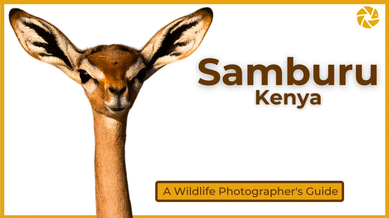 samburu slider samburu slider thumbnail