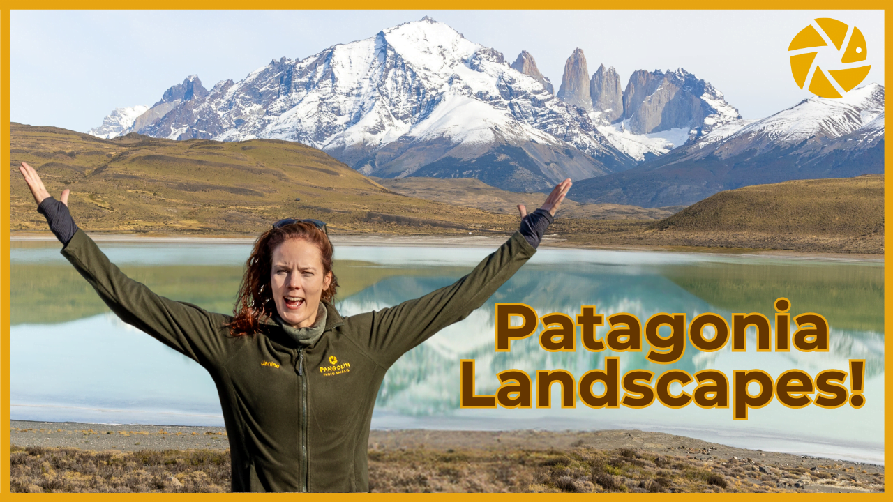 tigers of india Patagonia Landscapes Slider