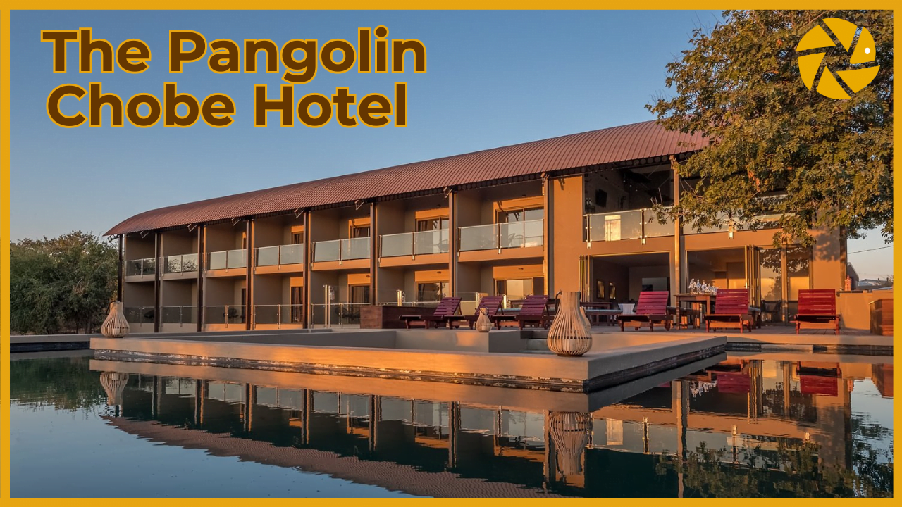 Pangolin Chobe Hotel Video Thumbnail Pangolin Chobe Hotel Video Thumbnail