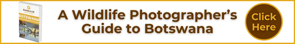 botswana e book