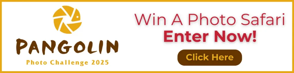 pangolin-photo-challenge