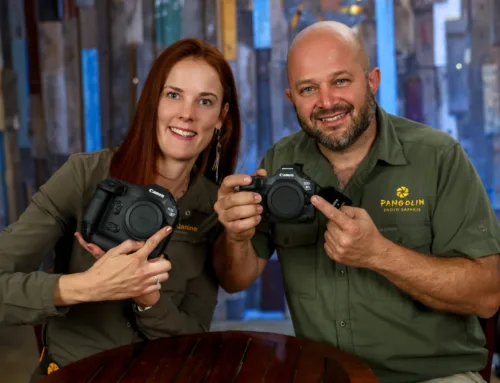 First Impressions: The New Canon EOS R1 and R5ii