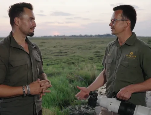 Sony A1 Mark ii Review on The Chobe River