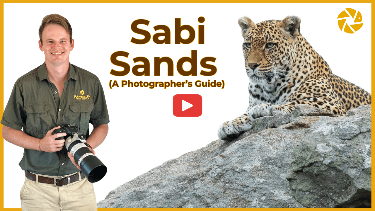 mala mala sabi sands mala mala sabi sands