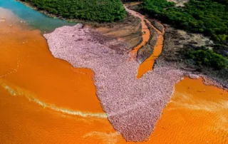 pink africa by alexandre bes