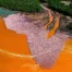 pink africa by alexandre bes