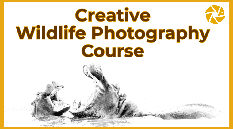 zaxbbgtsowjs7wiuztyy creative