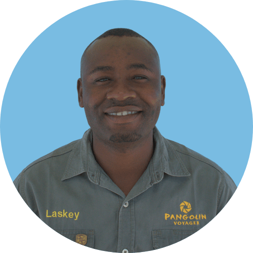 laskey Laskey - Pangolin Photo Safaris Staff