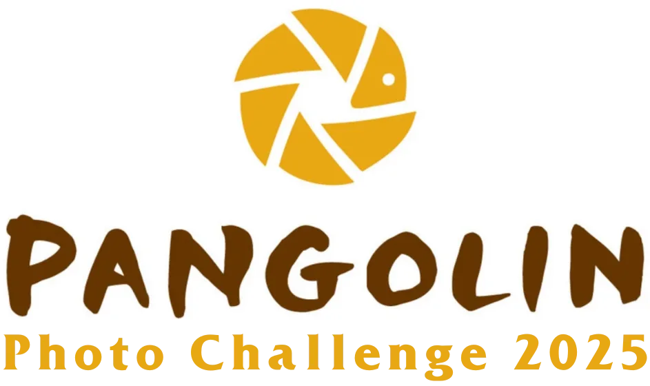 photo challenge 2025 Pangolin Photo Challenge 2025 logo