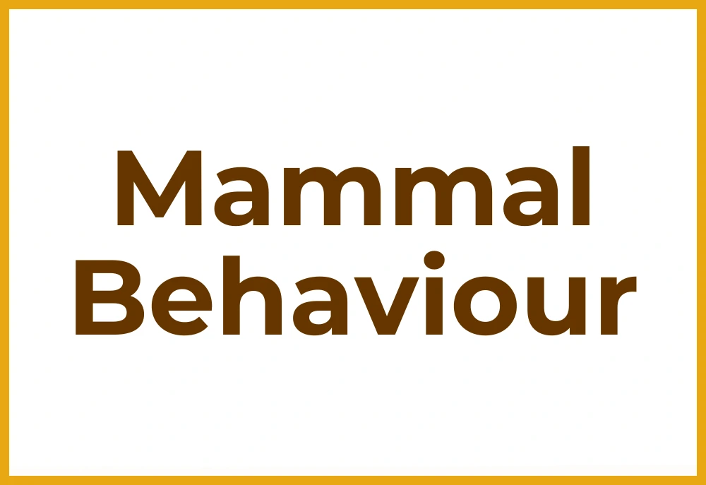 Mammal Behaviour Mammal Behaviour