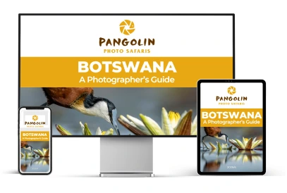 botswana 2025 e book multi device 