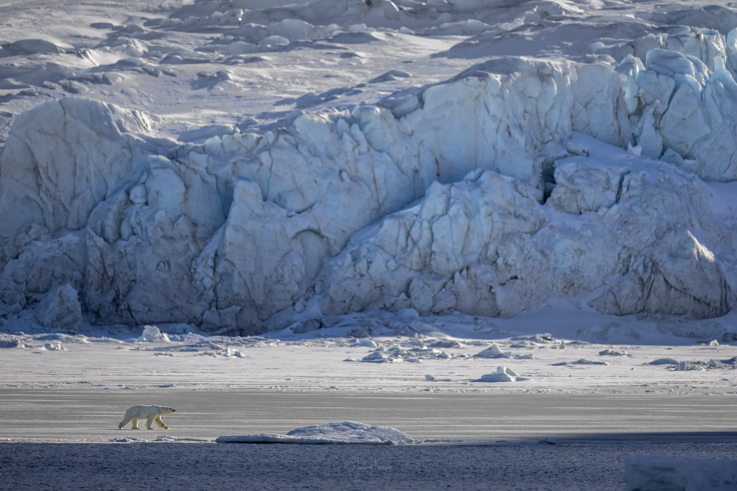 Janine Arctic Photo Safari
