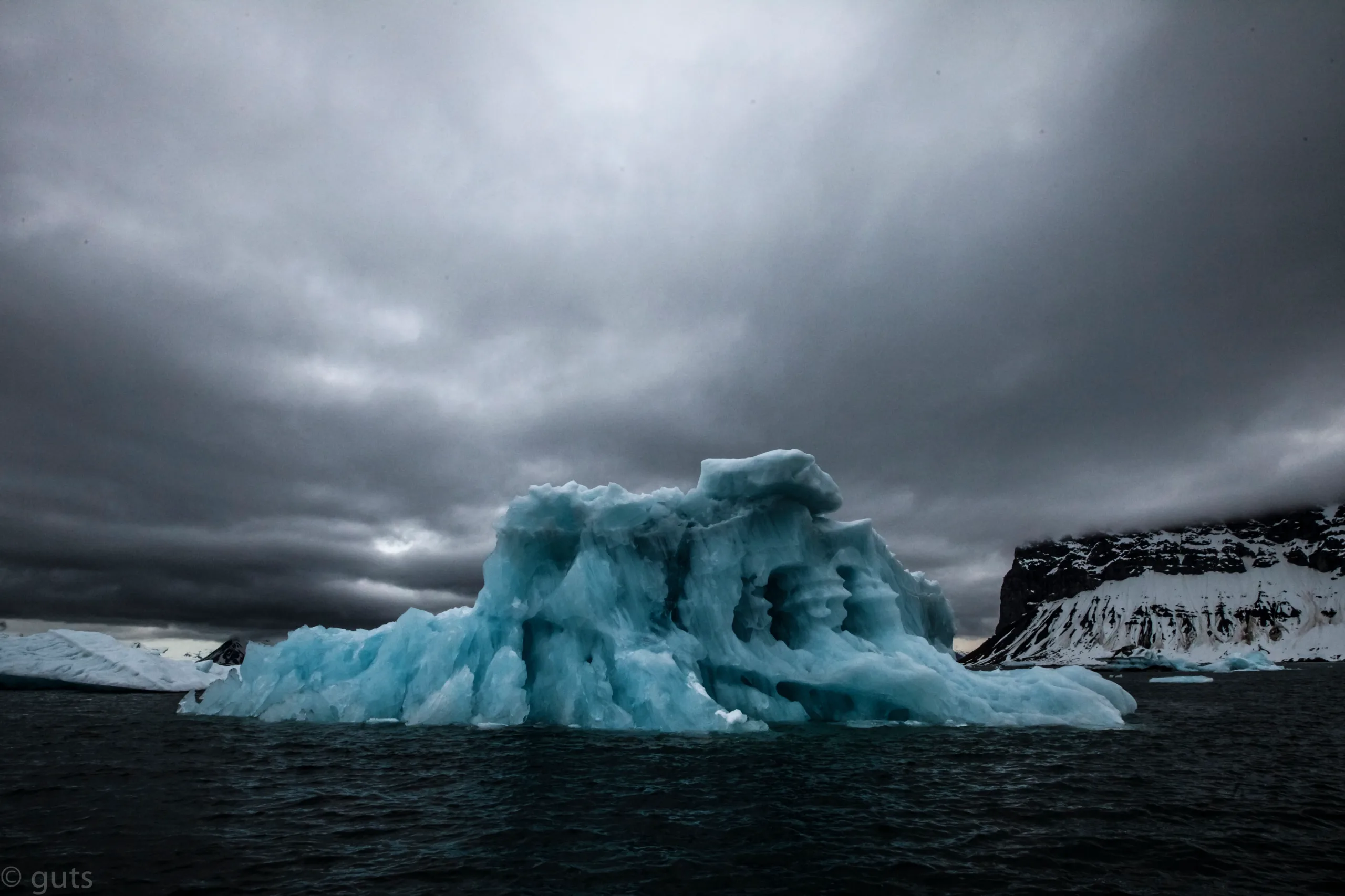 Guts Arctic Photo Safari