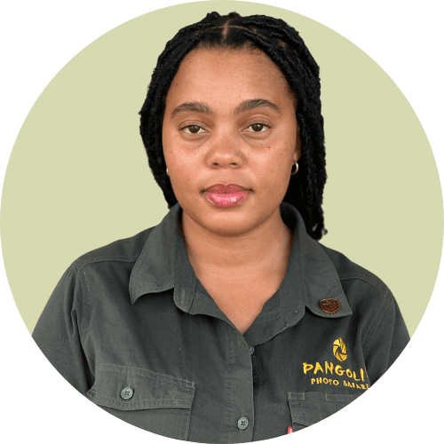 tamia Tamia - Pangolin Photo Safaris Staff