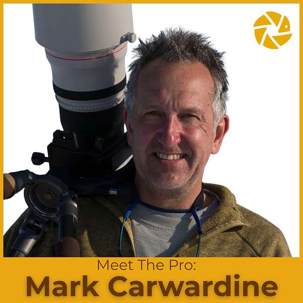 9aj2rie827qrjv9mwtm2qzffvuq9