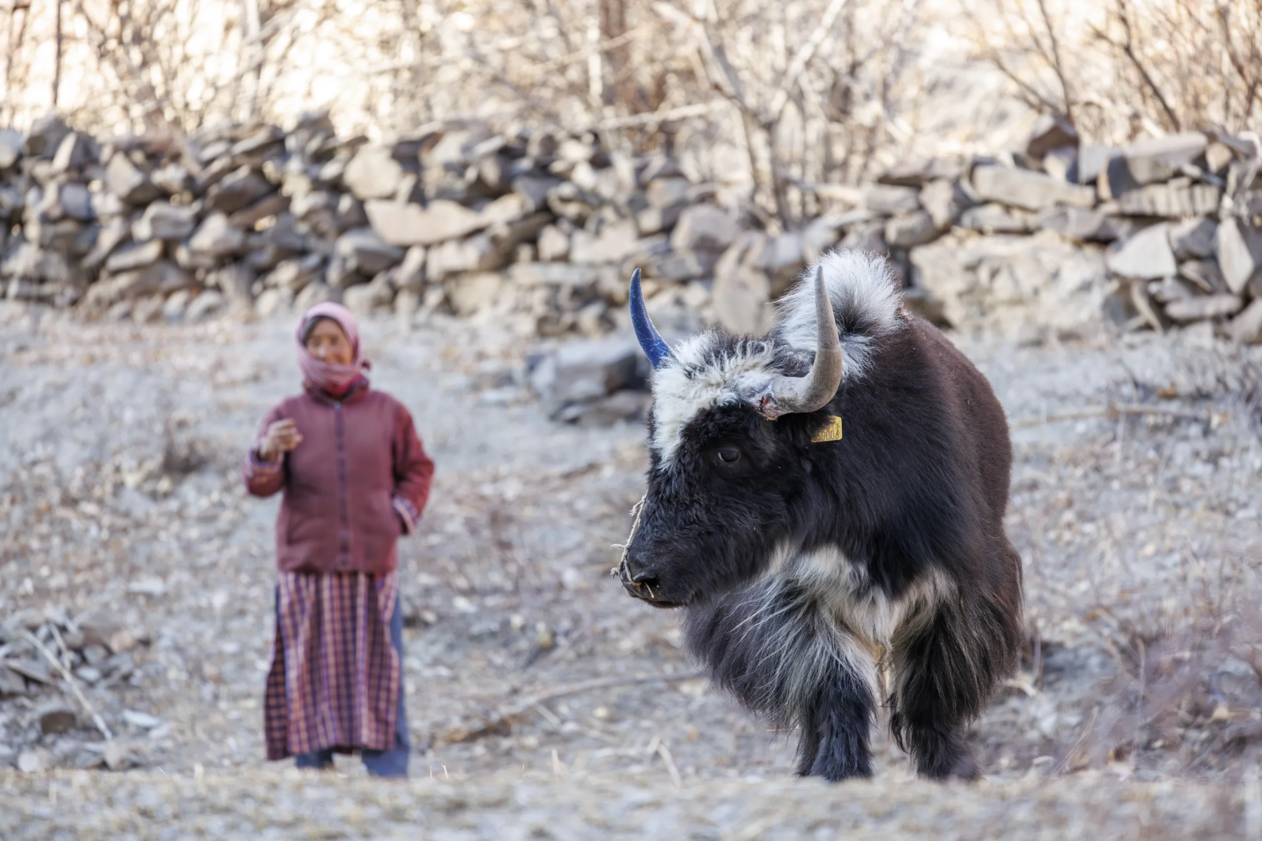 janine krayer wildlife photography 39 janine krayer wildlife photography 39