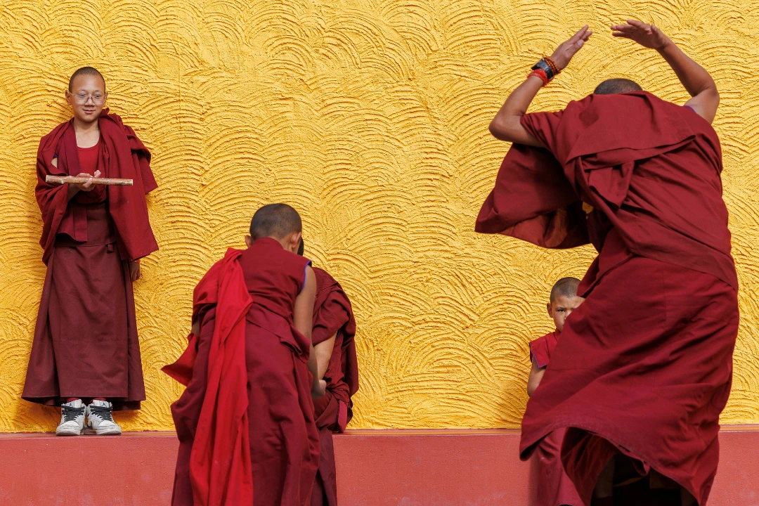 william steel pangolin photo safaris buddhists william steel pangolin photo safaris buddhists