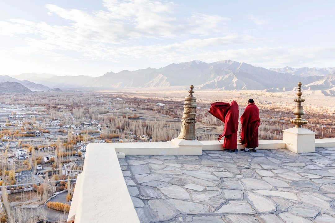 william steel pangolin photo safaris ladakh william steel pangolin photo safaris ladakh