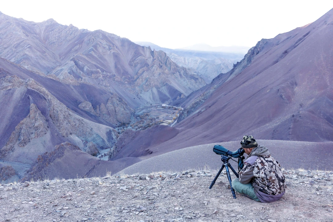 william steel pangolin photo safaris william steel pangolin photo safaris