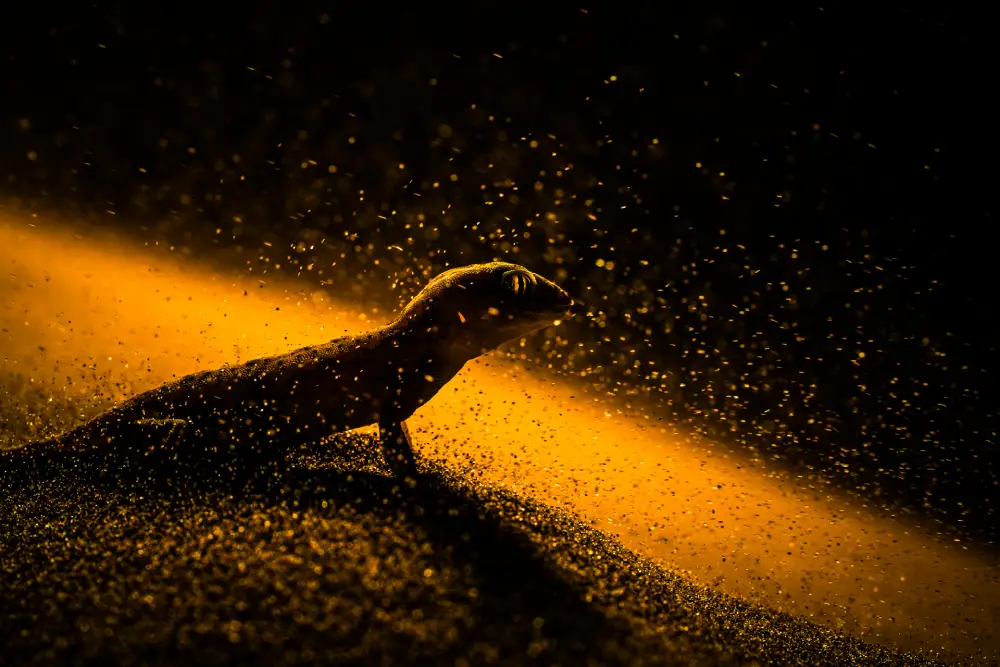 Pangolin Photo Challenge 2025 – Debabrata Bagchi Resilience, by Debabrata Bagchi