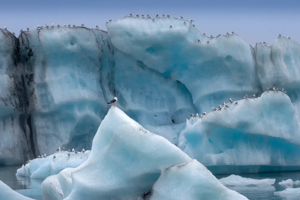 Guardians of the Lagoon, by Laurie Chinn