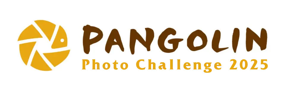 Pangolin Photo Challenge 2025 Logo Landscape Pangolin Photo Challenge 2025 Logo Landscape