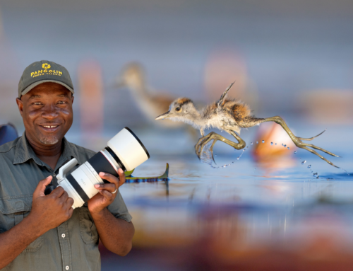 Meet the Pro with Walter Aaron