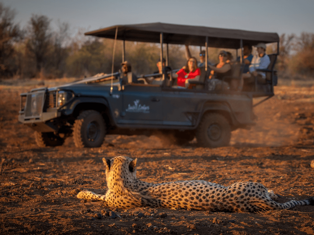 Jaci's Lodges - Madikwe Game Reserve