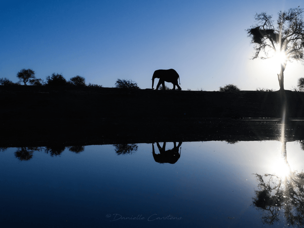 Jaci's Lodges - Madikwe Game Reserve