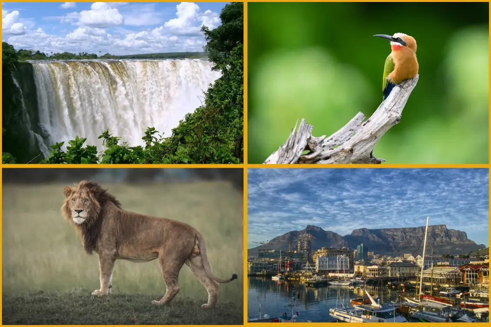 vf, chobe, delta and ct