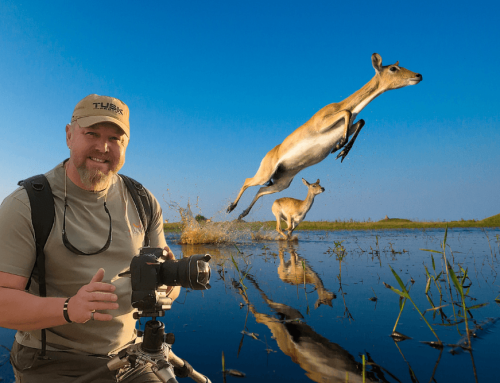 Meet the Pro with Wim van den Heever