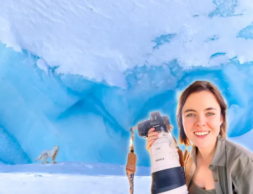Meet the Pro with Dani Connor