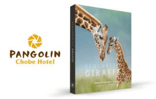 Remembering Giraffes