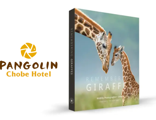 Remembering Giraffes: A Successful Conservation Partnership