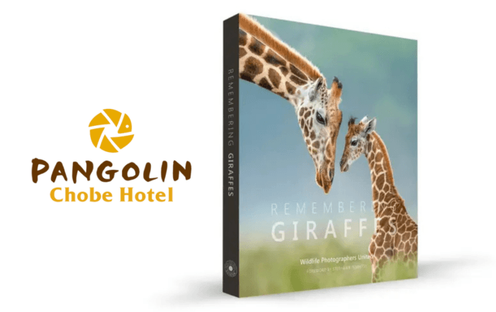 Remembering Giraffes