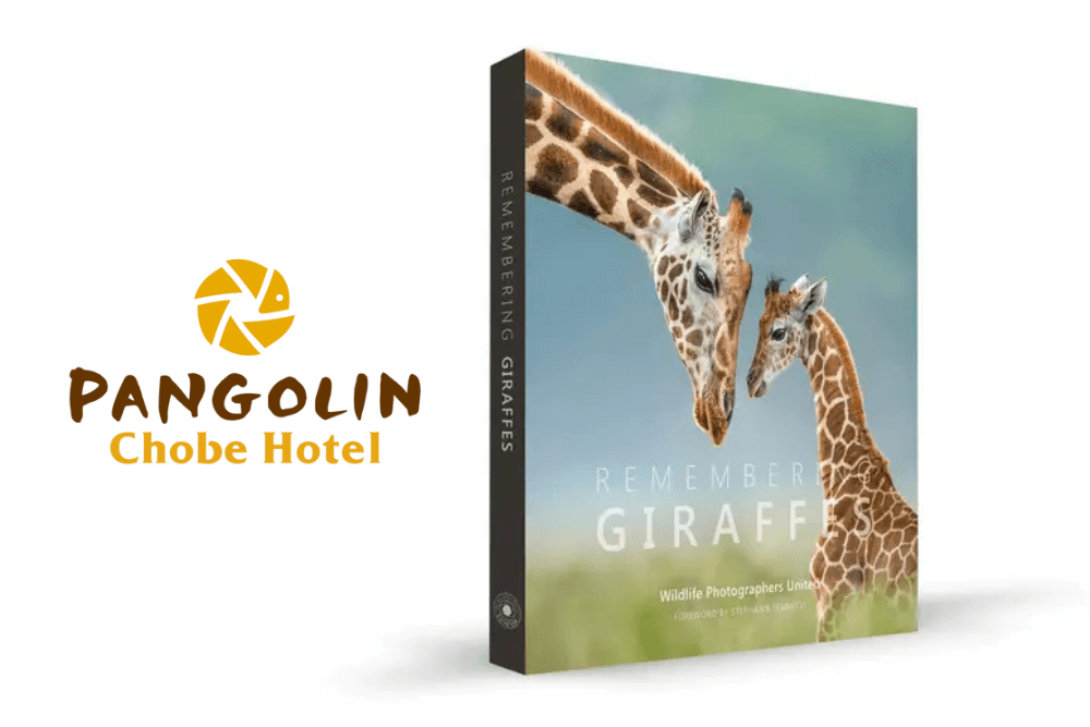 Remembering Giraffes