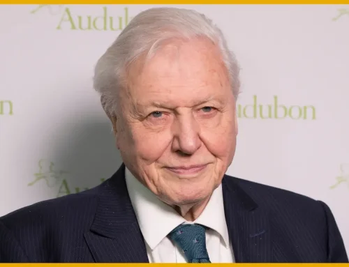 Happy Birthday, Sir David